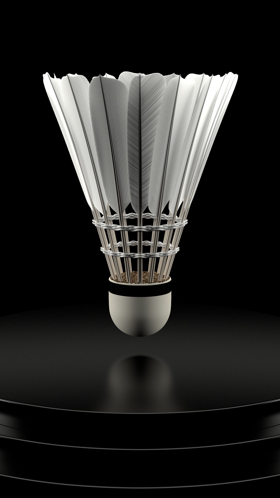 迷们无限的 迷们无限的