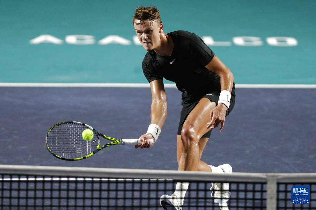 灰熊官方 灰熊官方